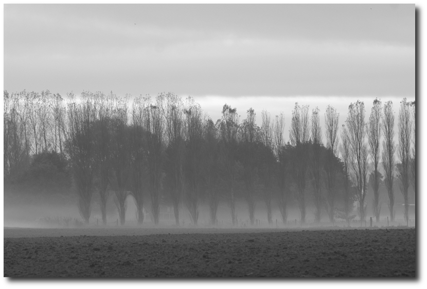 Octeville-dur-Mer