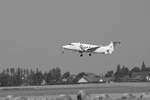 LH